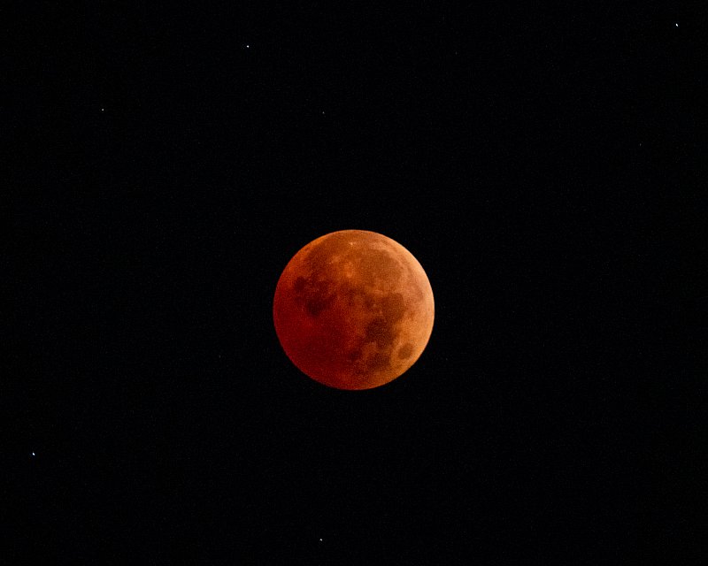 Beaver Blood Moon Lunar Eclipse